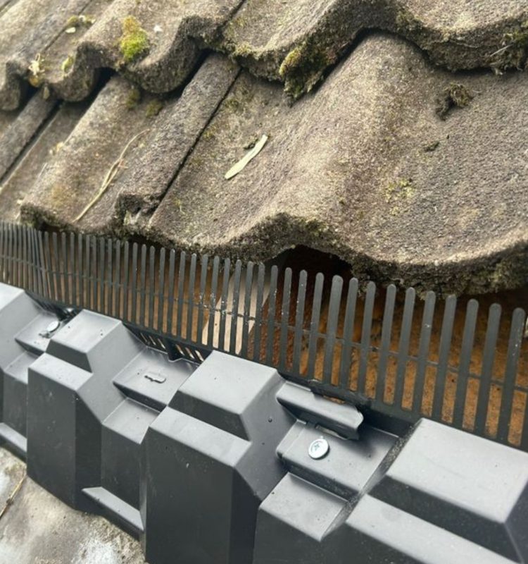 Dakgootbescherming onder oude dakpannen geplaatst